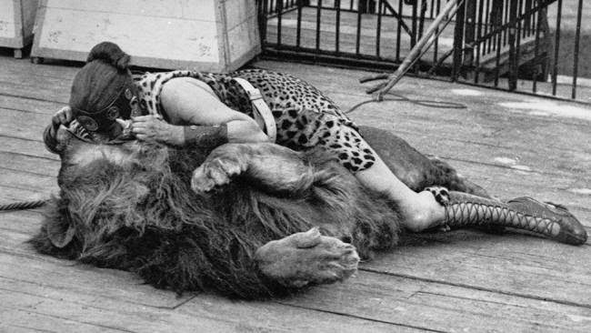 #3 A woman circus performer, dressed in a leopard skin gladiator costume, places her head in a lion’s mouth.