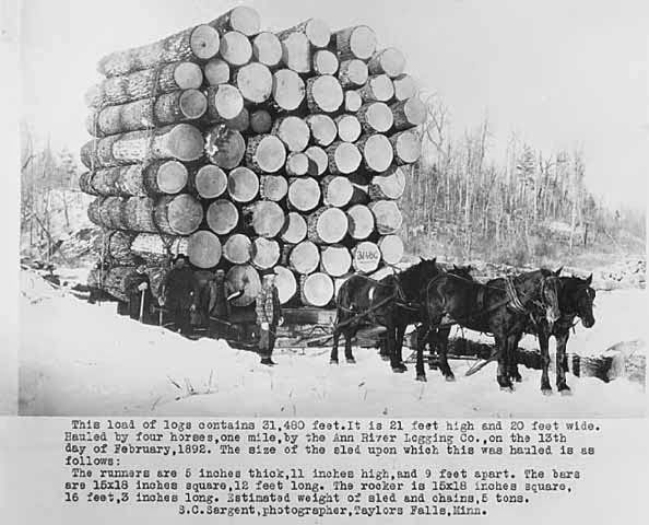 Before Tractors and Trucks: How Draft Horses Drove America’s Growth in the Early 20th Century Vehic