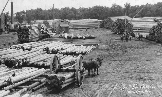 Horses pulling sledge loaded with logs in Bell Lumber &; Pole and Bell Timber Inc.