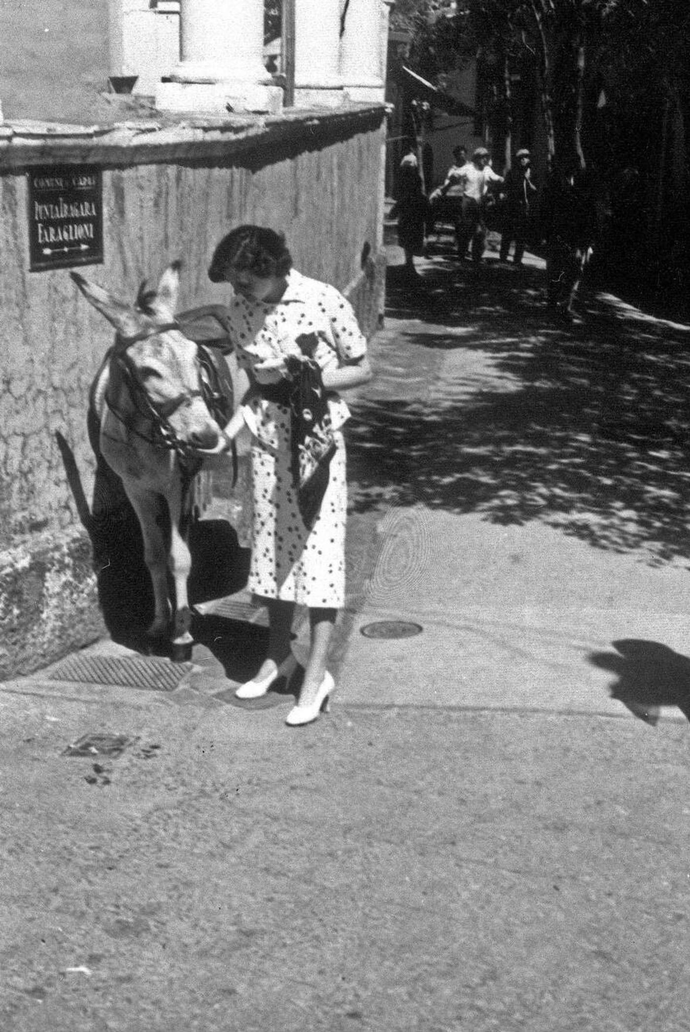 Woman with donkey or burro in city street in Italy, 1930s.