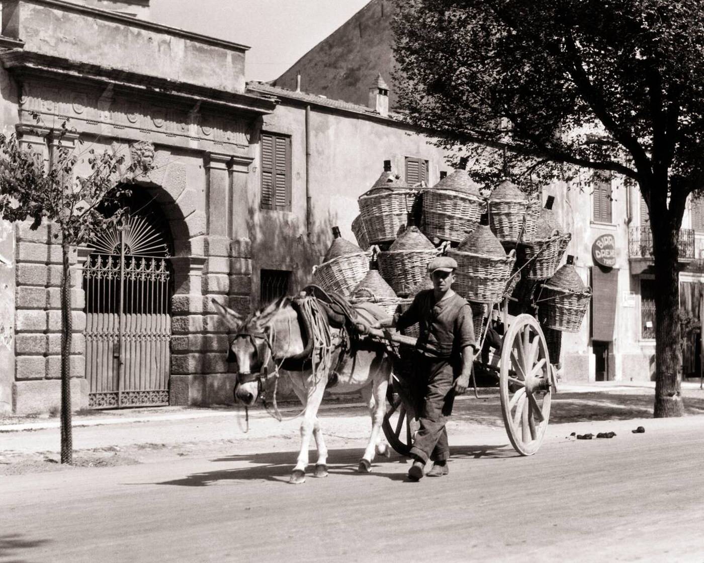 #46 Man leading a donkey cart loaded with Chianti bottles and jugs wrapped in straw basketry with handles, Verona Italy, 1935.