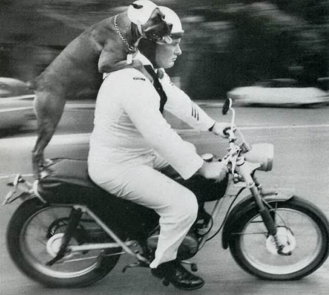 #1  When Humor Was Unfiltered: A Look Back at Vintage Funny Moments #1 Funny