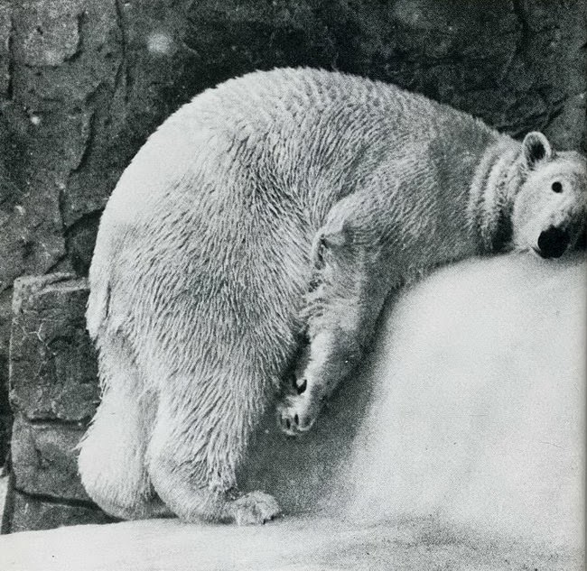 #11 When Humor Was Unfiltered: A Look Back at Vintage Funny Moments #11 Funny