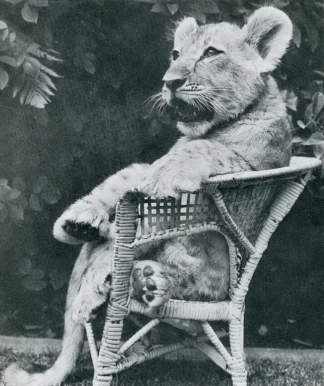 #12 When Humor Was Unfiltered: A Look Back at Vintage Funny Moments #12 Funny