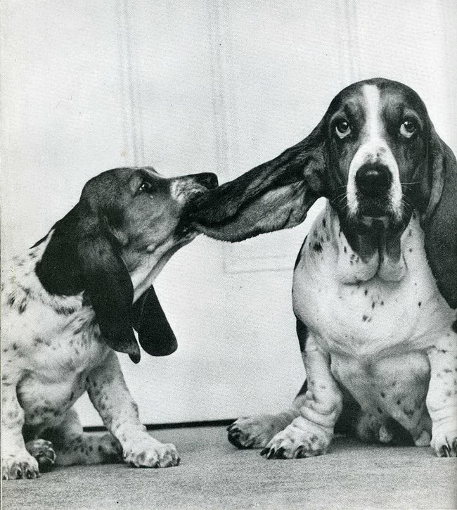 #15 When Humor Was Unfiltered: A Look Back at Vintage Funny Moments #15 Funny