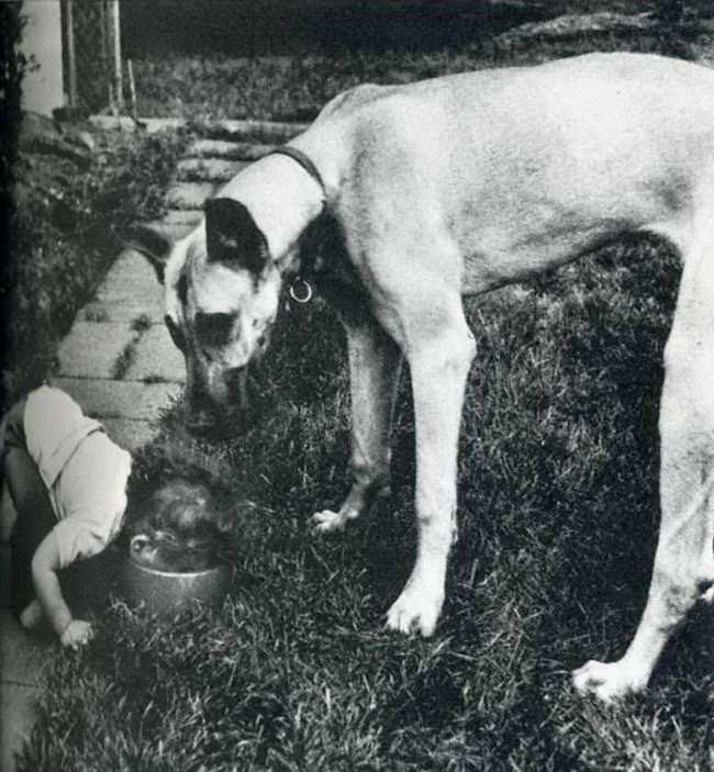 #20 When Humor Was Unfiltered: A Look Back at Vintage Funny Moments #20 Funny