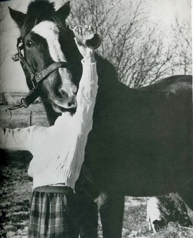 #22 When Humor Was Unfiltered: A Look Back at Vintage Funny Moments #22 Funny