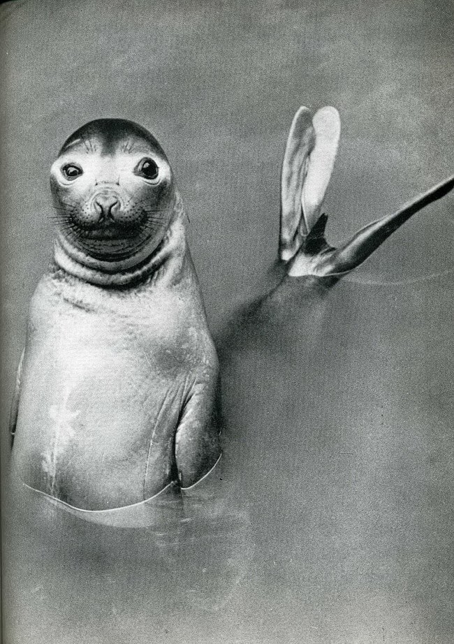 #26 When Humor Was Unfiltered: A Look Back at Vintage Funny Moments #26 Funny