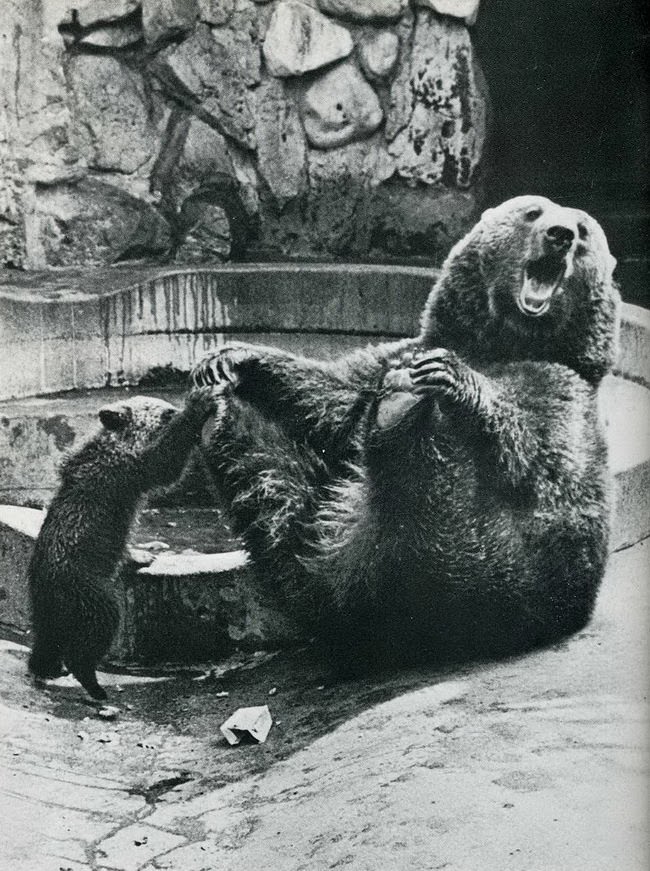#29 When Humor Was Unfiltered: A Look Back at Vintage Funny Moments #29 Funny