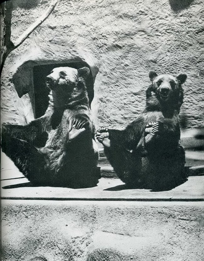 #30 When Humor Was Unfiltered: A Look Back at Vintage Funny Moments #30 Funny