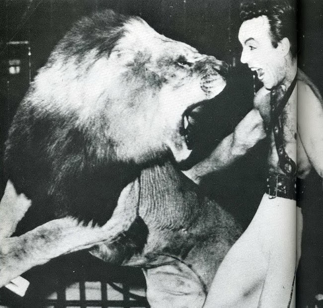 #31 When Humor Was Unfiltered: A Look Back at Vintage Funny Moments #31 Funny