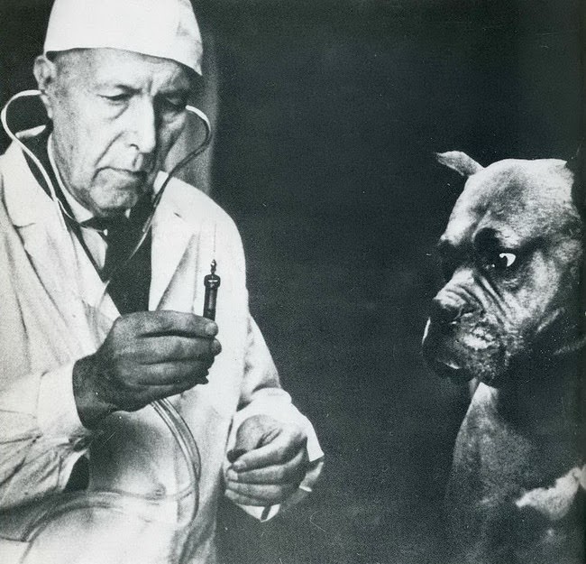#32 When Humor Was Unfiltered: A Look Back at Vintage Funny Moments #32 Funny