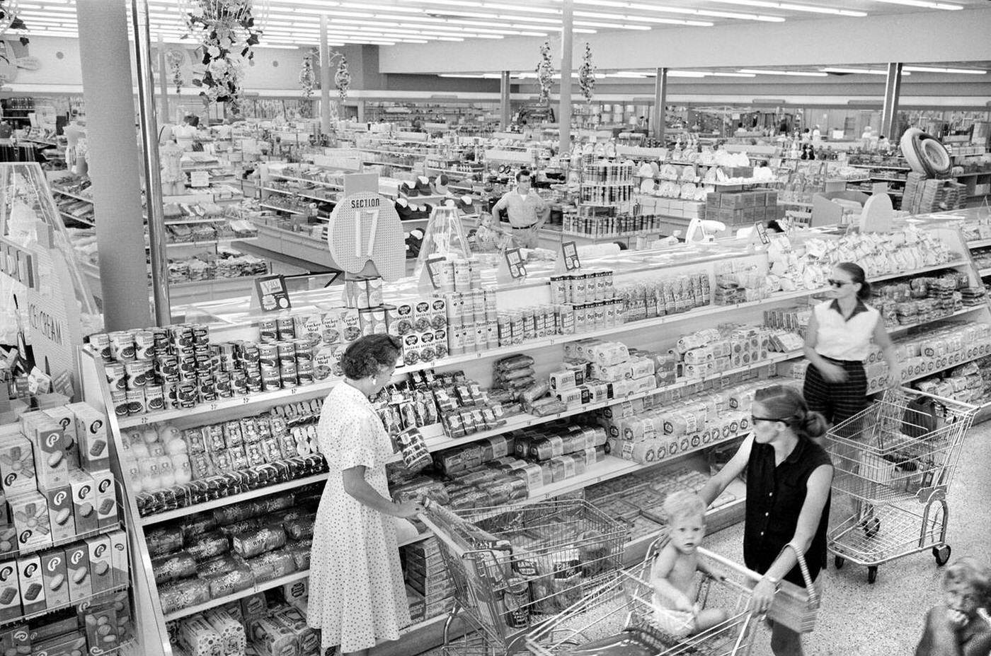 Women with shopping carts in supermarket, Washington, D.C., 1958.